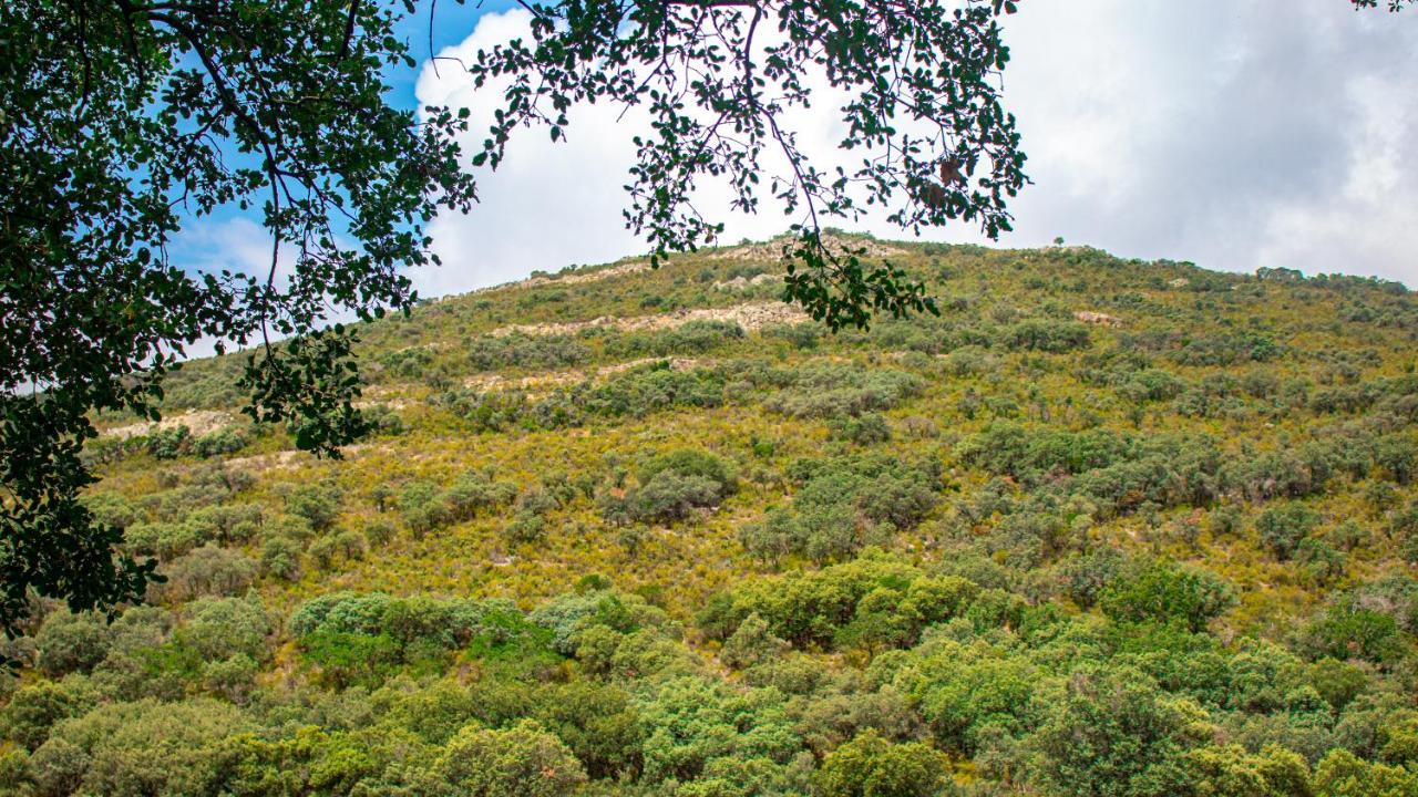 Casa Rural Valle De Los Molinos El Cristo del Espiritu Santo Extérieur photo